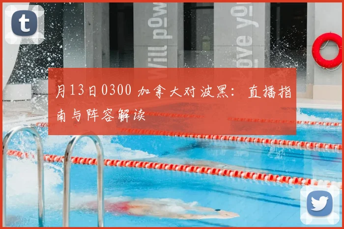 月13日0300 加拿大对波黑：直播指南与阵容解读