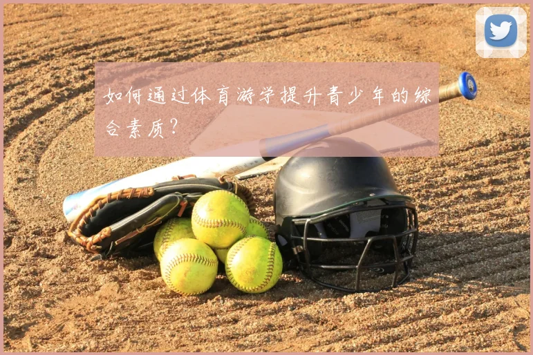 如何通过体育游学提升青少年的综合素质？